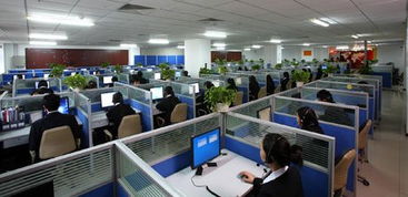 華道數(shù)據(jù)處理蘇州軟件開發(fā) 創(chuàng)新技術(shù)與行業(yè)融合的典范